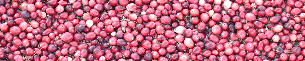 Cranberries